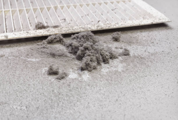 Best Professional Duct Cleaning Services  in Taft Mosswood, CA