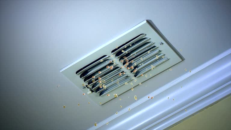Best HVAC Duct Inspection Services  in Taft Mosswood, CA